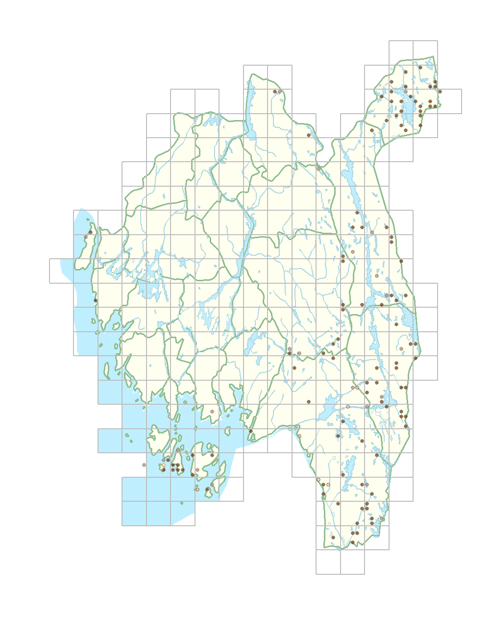 tettegras 1 km